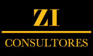 Zi Consultores logo